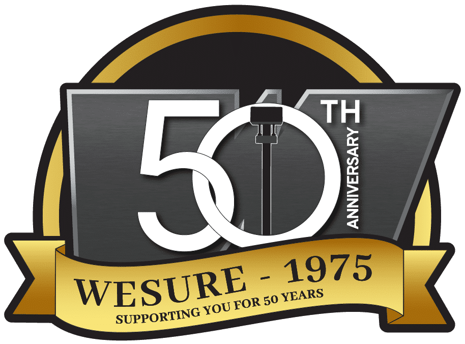 WeSure logo